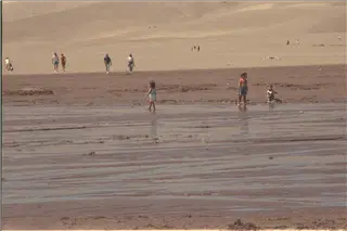 small_9400 1255 co etcIMG0060.webp